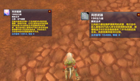 盗贼打想高输出最怕的不是没有风怒