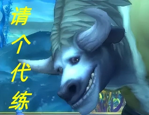 WLK不可期代练开始接管